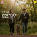 산삼자연휴양림(함양) | 함양 산삼자연휴양림 3월 재개장! 반려동물 동반 가능한 힐링 스팟