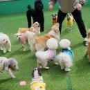 놀러왕왕왕 네이버블로그