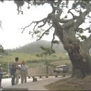 사람과터전