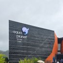 뷰메디칼 | 여수 아쿠아플라넷 5세 아이와 가볼만한곳 가족여행 후기