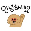 퀴즈노스부산서구 이미지