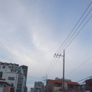 삼대국수회관신제주점 | 제주 삼대국수회관 신제주점 고기국수 맛집