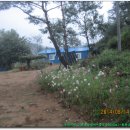 대붕농장 | 적근지맥 2구간(새덕이재-상덕봉(552m)-화천교 )終.