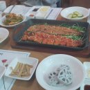 기통찬장어 이미지