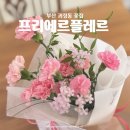 대티로 | 부산꽃다발 | 어버이날 꽃선물 &lt;프리에르플레르&gt; 핑크 카네이션 후기