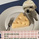 아우우(Aww) 이미지