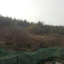 해성공인중개사사무소 이미지