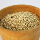 아마란스 이미지