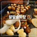 팔팔개발 | 당산역맛집 팔팔솔막창 통파막창 통치즈막창 고기 모임장소 후기