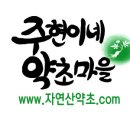 자연산약초마을 이미지