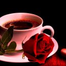 향기고운 이미지