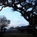 성읍리-18 이미지