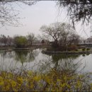 영산 연지 이미지