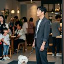 박성준 동물병원 | 반려동물 동반 출입법 헷갈리는 음식점 카페 기준 벌금까지 총정리