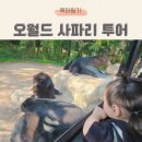 오월드2 | 대전 오월드 사파리 투어 주말 대기 시간 버스 자리 추천 패스트 트랙 이용 후기