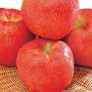 노좌1리 이미지