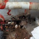 마동주공2 이미지