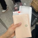 [minitmute] 미닛뮤트 여권지갑 리뷰 , 미닛뮤트 데이지 여권케이스 후기