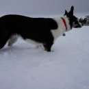 리오목장 이미지