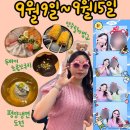 [주간일기]9월9일-9월15일/서울여행 마지막날/추석연휴시작/이웃집통통이 두바이쿠키 냠냠