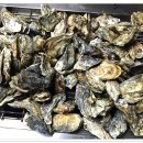 지금! 여수 이미지