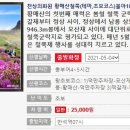 금강투어
