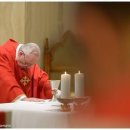 마르띠노 이미지