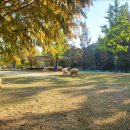 인천목장 이미지