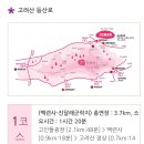 Re: 24.04.07. 봄꽃산행행사 일정 계획(안) 이미지