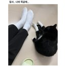 NR-31[새마을로]-하-539 | 10 - 5