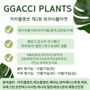 까치마켓