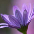 효드림재가복지센터 이미지