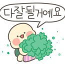 닉스엔녹스 이미지