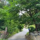 숲속 황토방 펜션 이미지