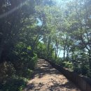 [충북] 월악산 옥순봉-구담봉 등산 후기(feat.알레버스, 충주호, 등산코스, 주차장, 식당/카페 정보)