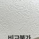 스카이벽지