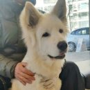 서울한빛동물병원 이미지