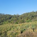 봉대마을회관 이미지