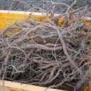 대박1농장 이미지