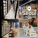 GS25 수유우이점 | 서울 수유역 근처 고양이가 있는 모비딕 만화카페&amp;가챠샵 아이들과 다녀온 솔직후기