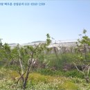 전지보건진료소 이미지