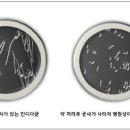 하엘식품