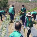 사랑의문고 이미지