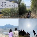 제4회 포항 장기유배문화제 | 국내 가족여행 포항 아이와 가볼만한곳 아이랑 포항장기읍성 장기유배문화제 볼거리 놀거리