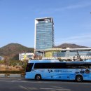 진도개투어