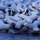 방어진낚시 이미지