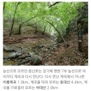 포항/영덕/동대산~바데산~경방골(옥계계곡) 이미지