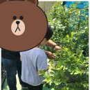 송내농장 이미지