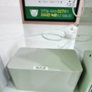 버블독스포항