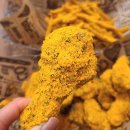 비에이치씨아산모종